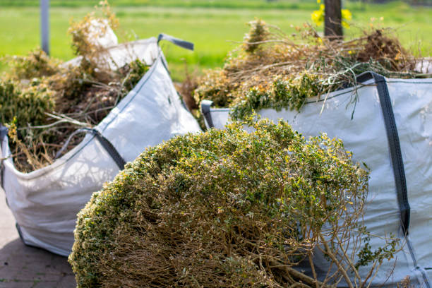 Best Basement Cleanout Services  in Northbrook, IL